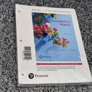 Introductory Algebra Loose Leaf Lial Hornsby McGinnis New Sealed Pearson Unbound